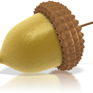 Acorn PNG image, free, acorns