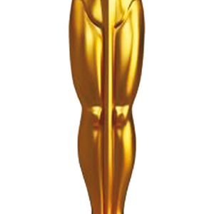 Academy Awards PNG,  the Oscars PNG