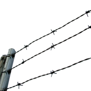Barbwire PNG