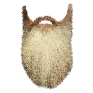 Beard PNG