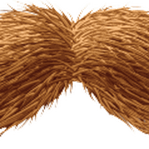 Moustache PNG image