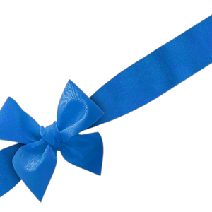 Blue bow PNG image