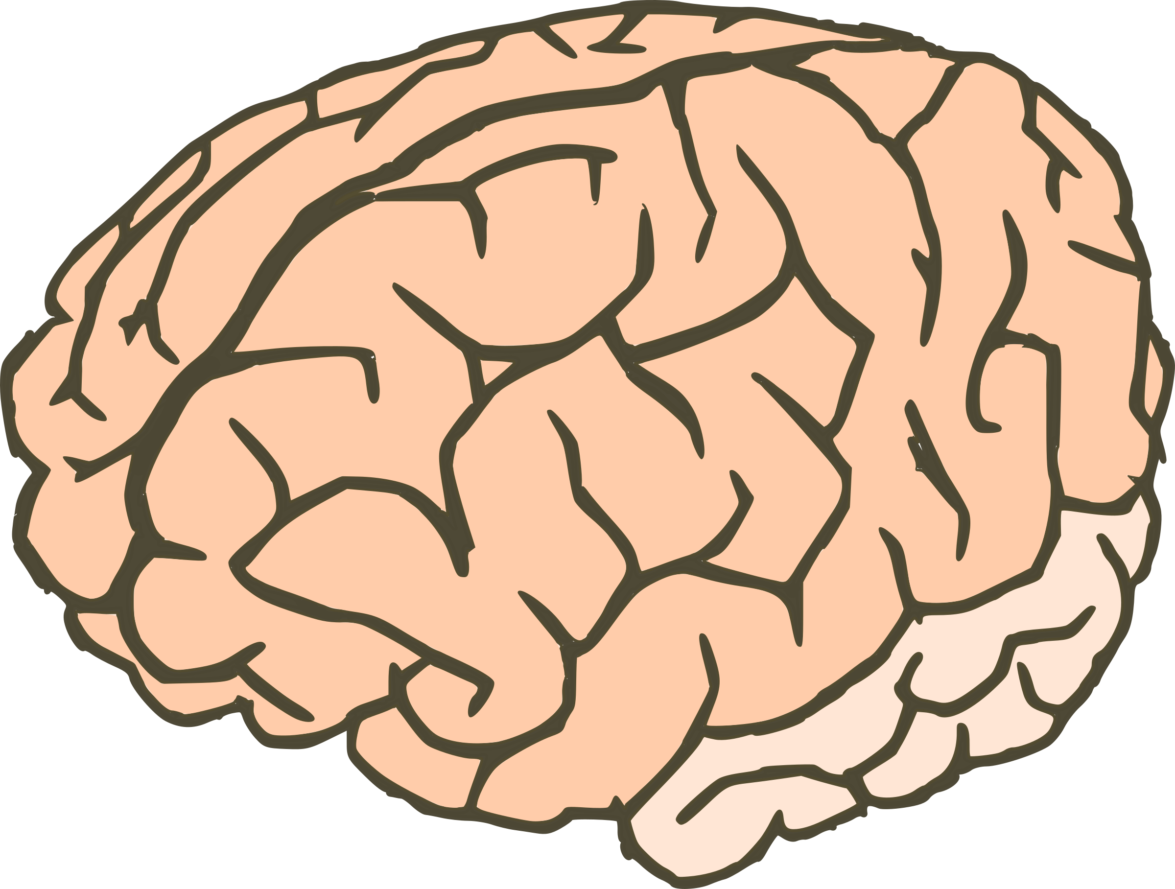 Рисунок мозга легко. Мозг рисунок. Мозг нарисованный.