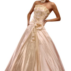 Bride dress PNG