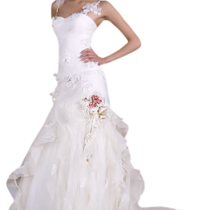 Bride dress PNG