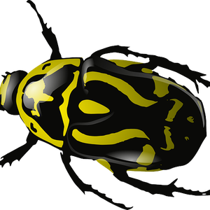 yellow bug PNG image