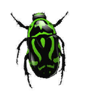 green bug PNG image, insect PNG