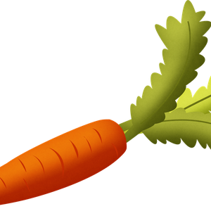 Carrot PNG image