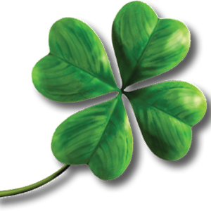 Clover PNG image