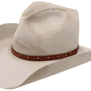 Cowboy hat PNG