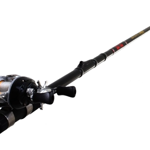 Fishing rod PNG image