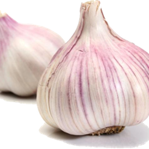 Garlic PNG