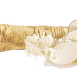 Horseradish PNG