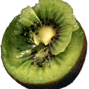 Kiwi PNG image, free fruit kiwi PNG pictures download