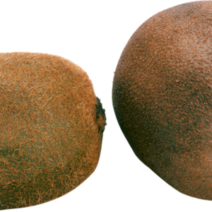 Two kiwis PNG image picture
