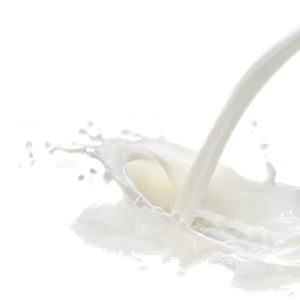 Milk PNG
