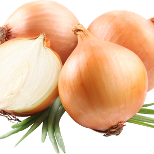 Onion PNG image