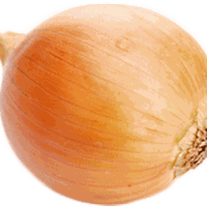 Onion PNG image, free download picture