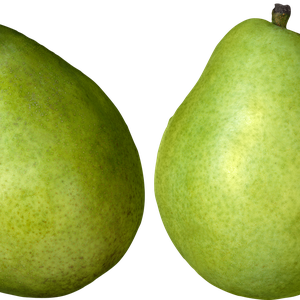Green pears PNG image