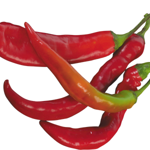 Red chili pepper PNG image