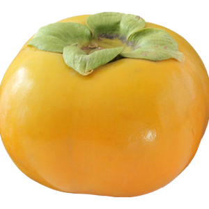 Persimmon PNG image