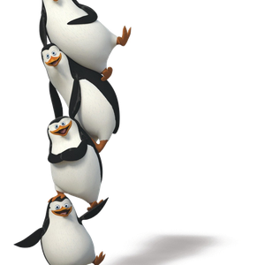 Penguins PNG image