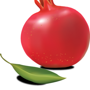 Pomegranate PNG