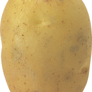 Potato png images