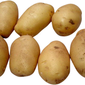 Potato png images, pictures, free download