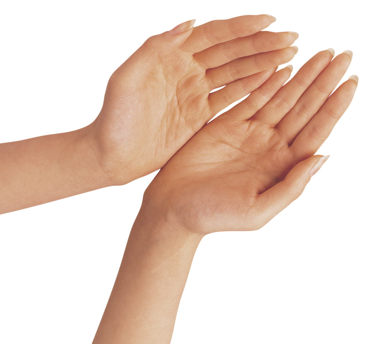 Praying hands PNG, Transparent Png Image - ImgsPng.