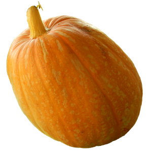 Pumpkin PNG