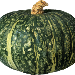 Pumpkin PNG image