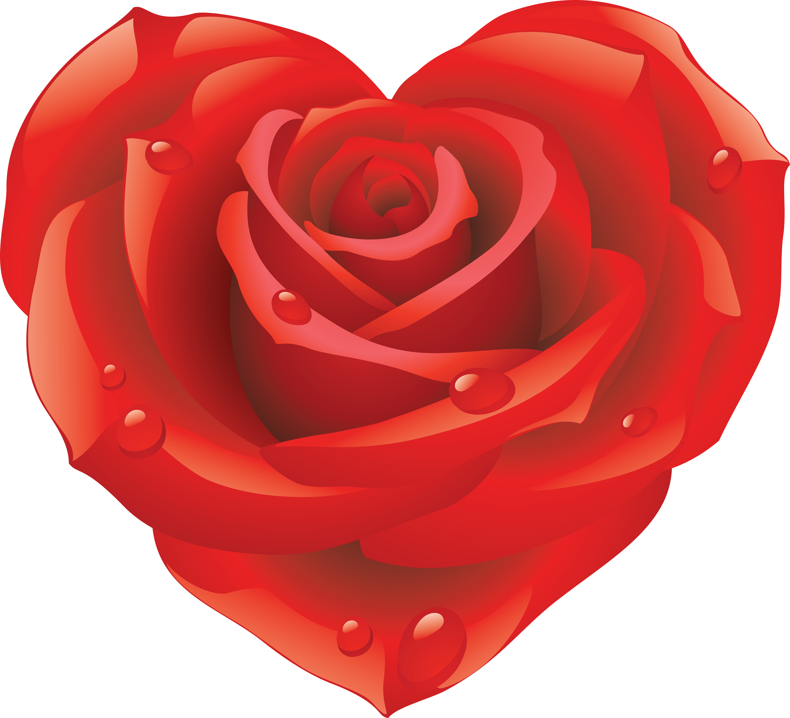 Смайлик розочка. Розы в сердце. Розы в форме сердца. Цветы в виде сердечек. Розы на прозрачном фоне.