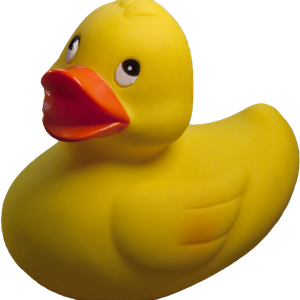 Rubber duck PNG