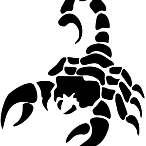 Scorpion tattoo silhouette PNG