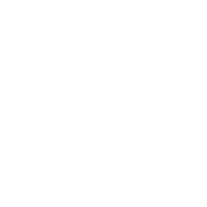 Skype white logo PNG