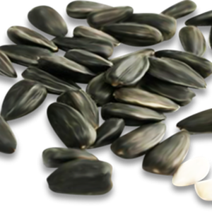 Sunflower seeds PNG