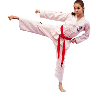 Taekwondo PNG
