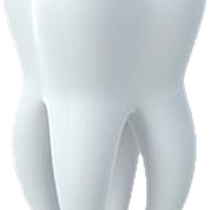 Tooth PNG image