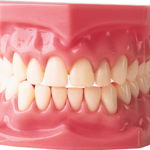 Teeth PNG image
