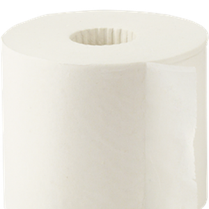 Toilet paper PNG