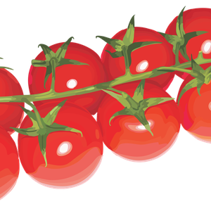 Tomatoes cherry PNG