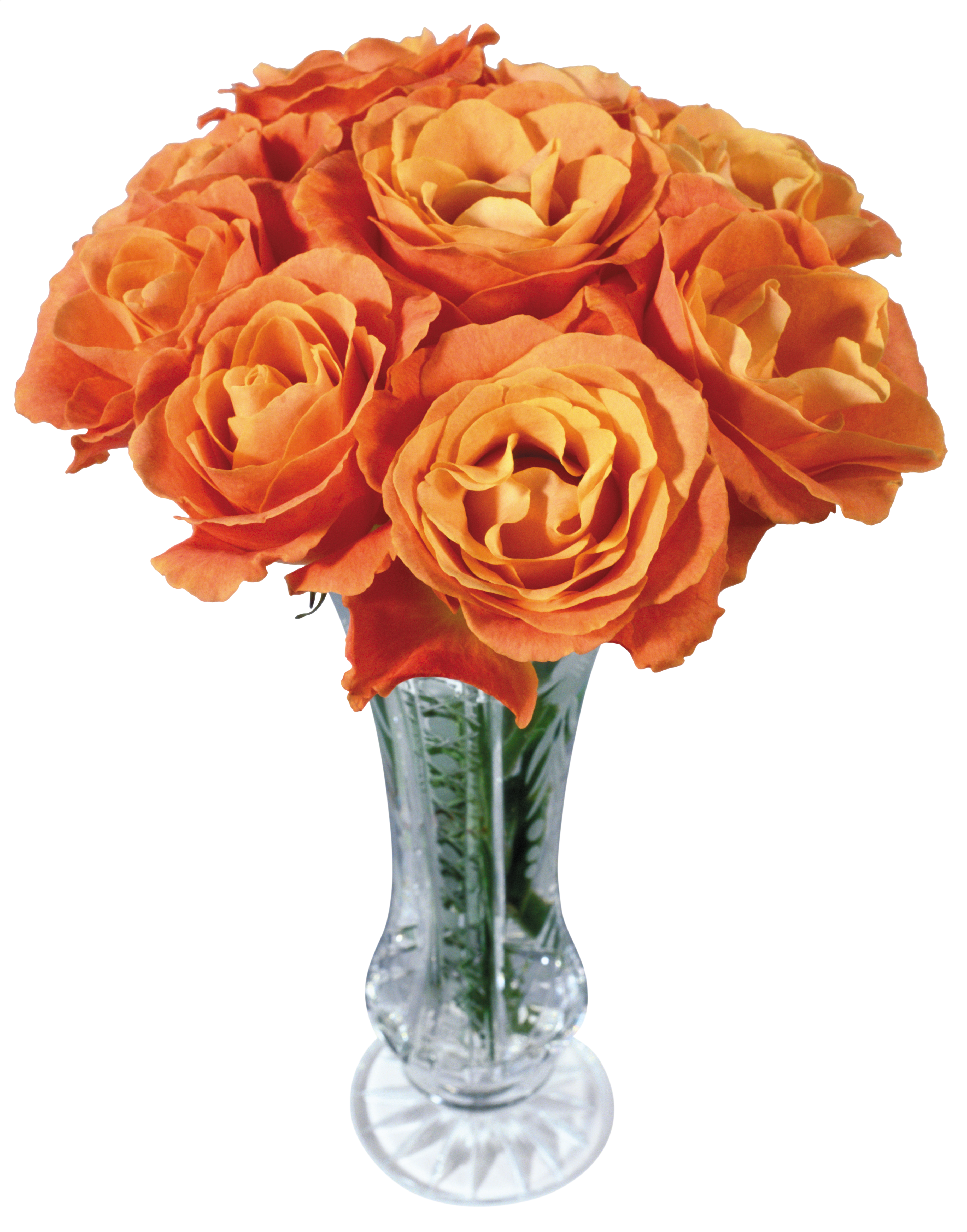 Оранжевые розы в вазе. Оранжевые розы. Цветы розы оранжевые.