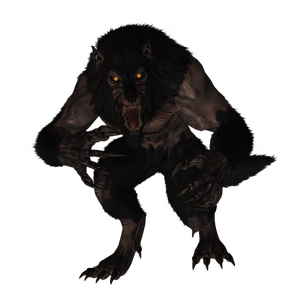 Werewolf PNG