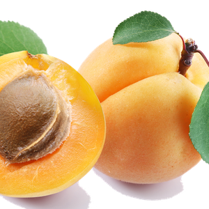 Apricots PNG