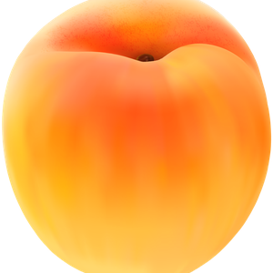 Big apricot PNG image