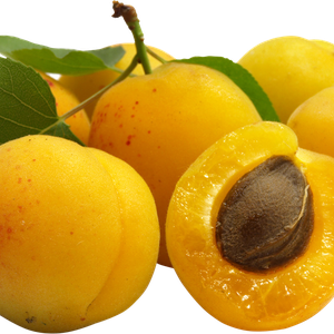 yellow Apricots PNG