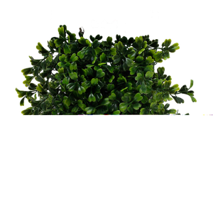 Bush PNG image