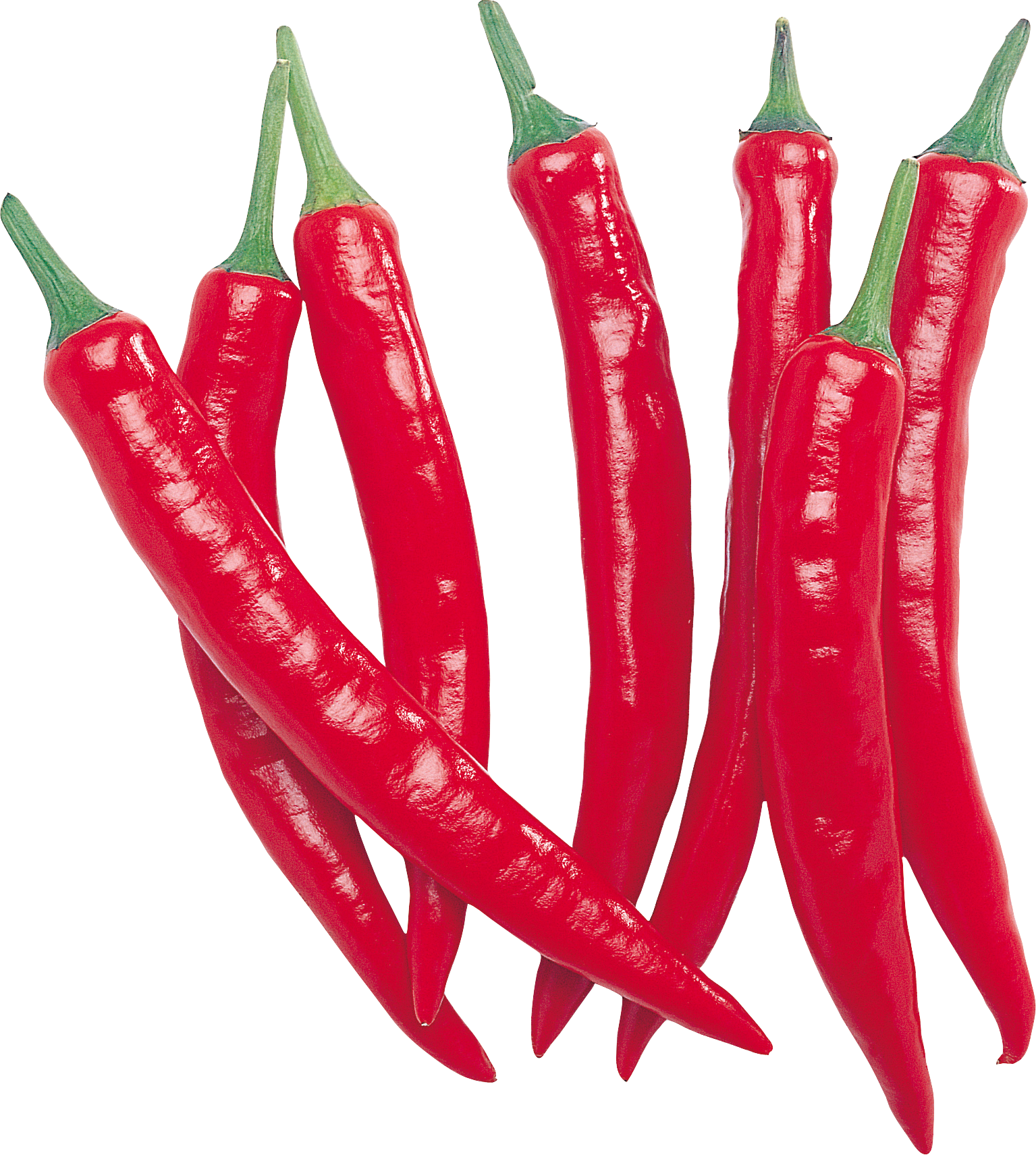 Острый перец Чили. Чили Пеппер (Chili Pepper) Гладиолус. Перец Чили красный. Красный острый перец Чили. Chilli pepper