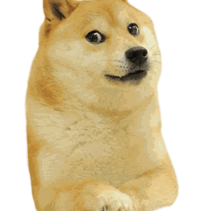 Doge (meme) PNG image